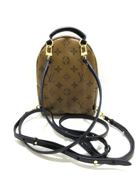 Louis Vuitton Monogram Reverse Palm Spring Mini Backpack Bag – The Closet