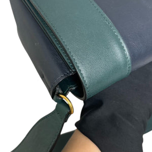 Frame Amazone Medium Shoulder Calfskin Navy Green GHW