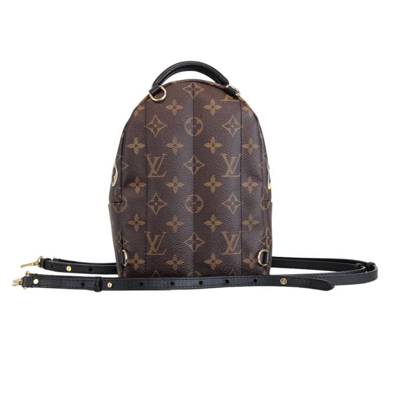 Louis Vuitton Palm Springs infrarouge backpack  Palm springs mini  backpack, Black camera bag, Louis vuitton backpack