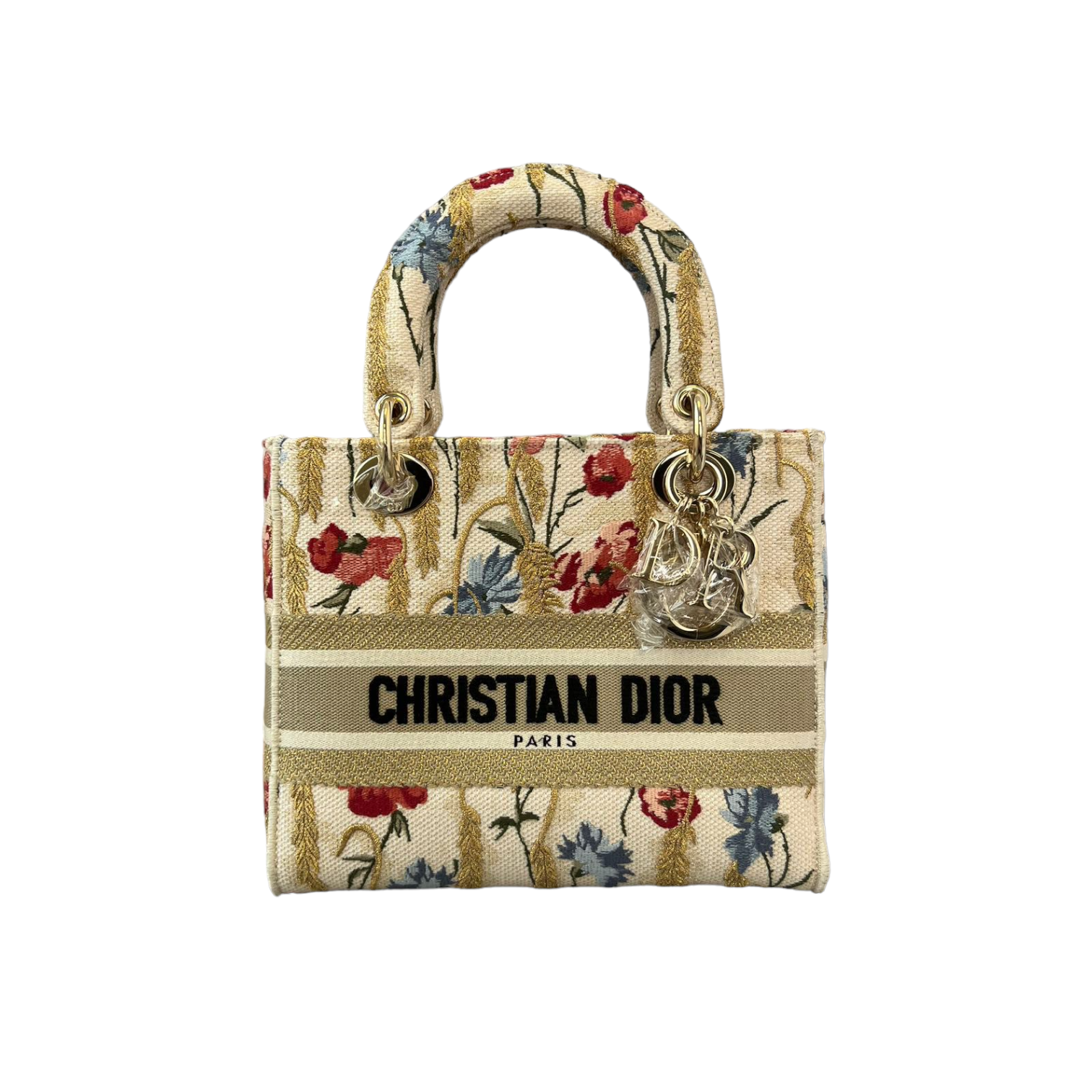 Dior Vertical Book Tote Lucky Star Embroidery White Multicolor for Women