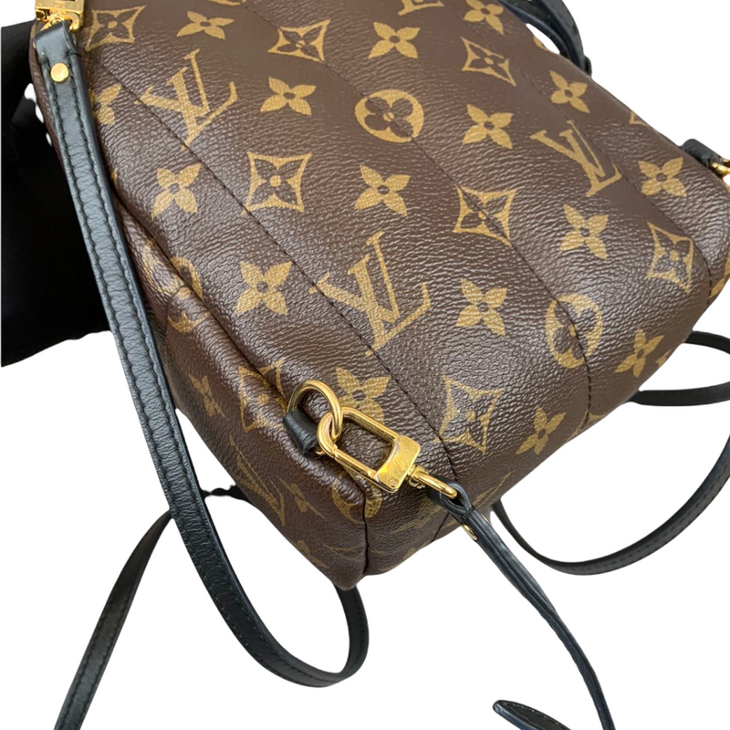 Louis Vuitton Christopher Backpack Brown/Clear in Coated Canvas
