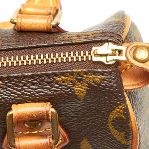 Monogram Mini Speedy Brown - Bag Religion