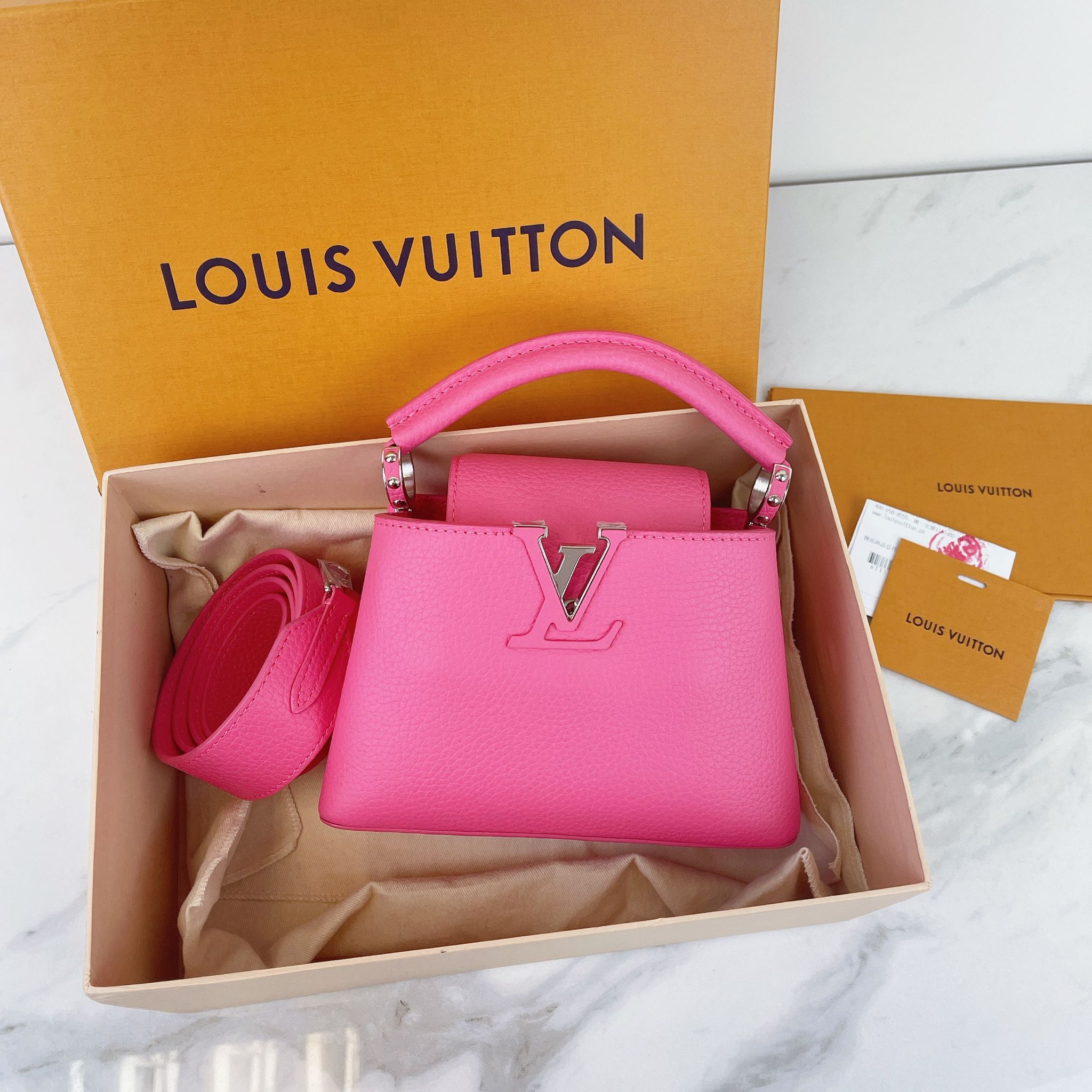 Capucine mini louis shops vuitton