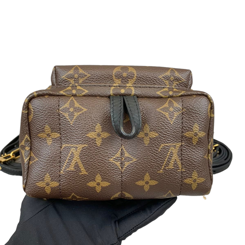 Louis Vuitton Palm Springs Mini World Tour Bag Reveal! 